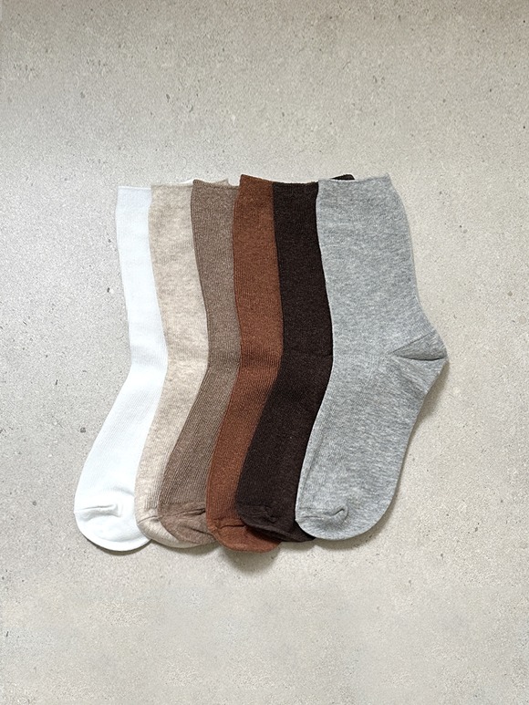 노튼 메란지 socks (12color)